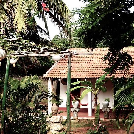 Allens Home Stay Джафна Екстер'єр фото