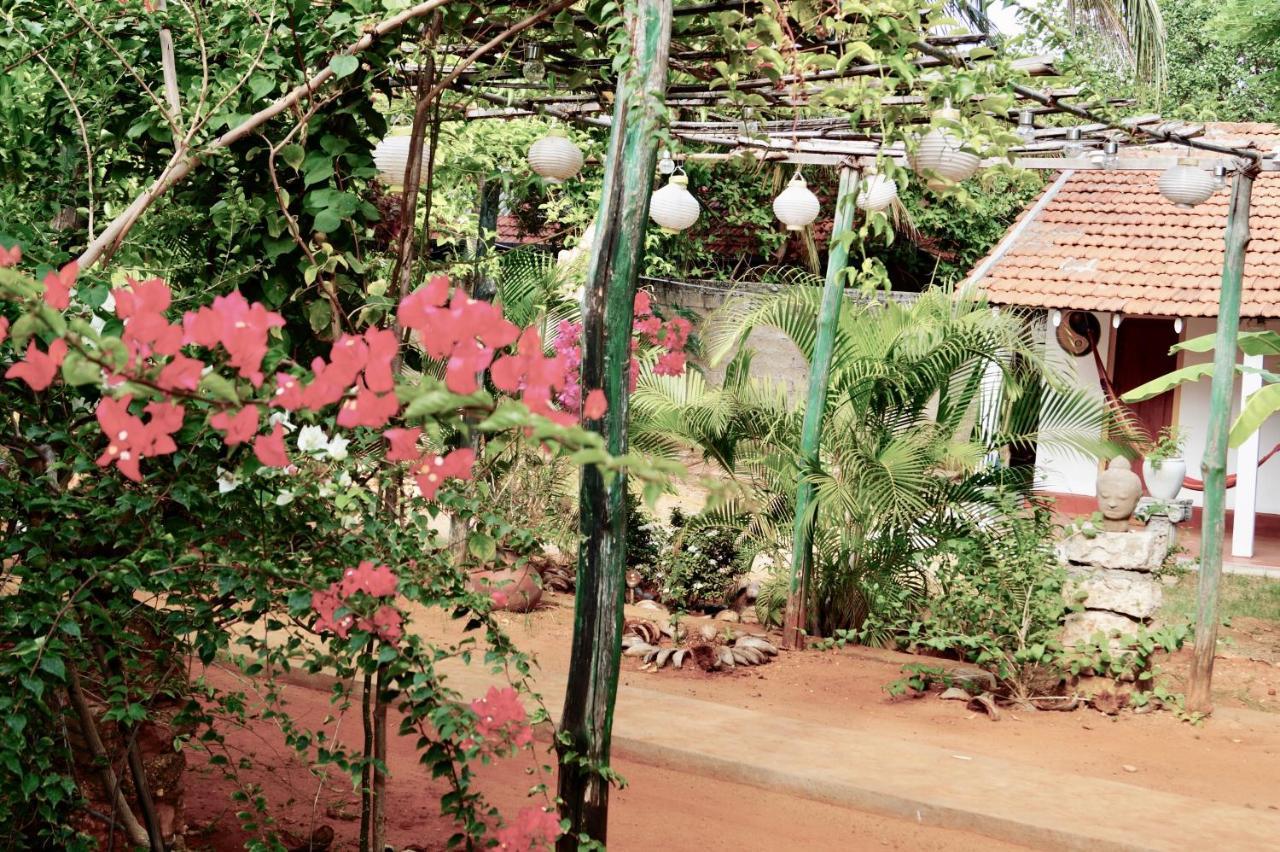 Allens Home Stay Джафна Екстер'єр фото